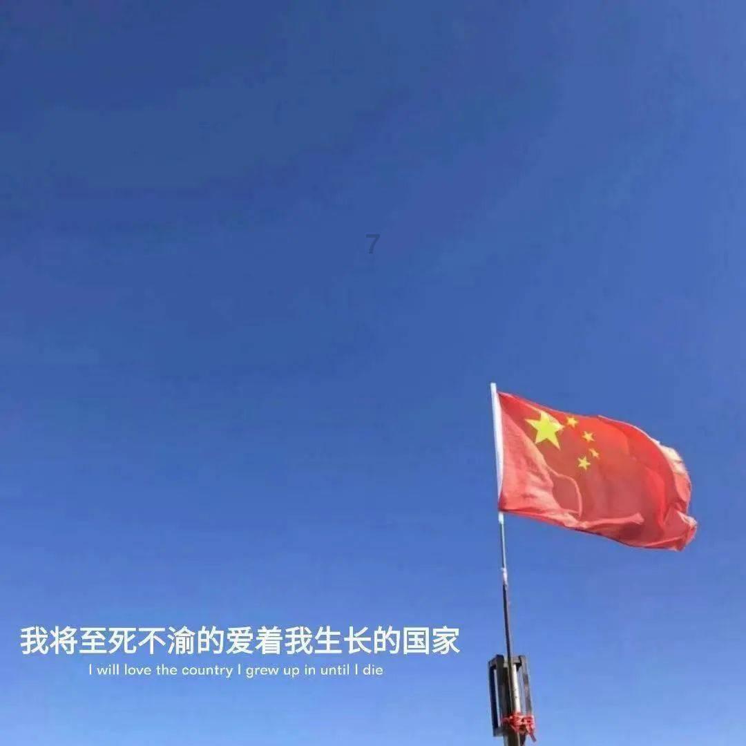 探探猫历险记